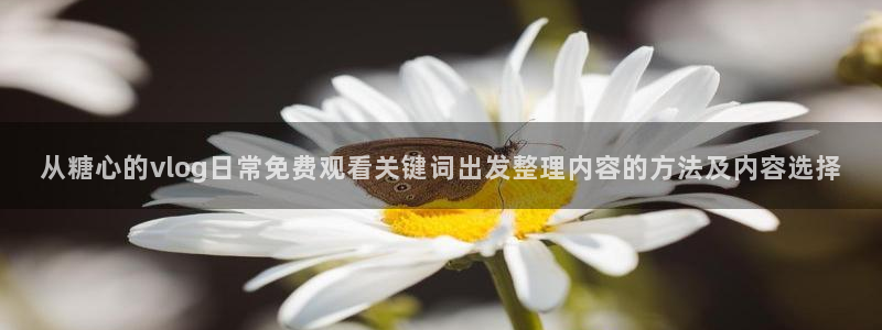 糖心少女vlog:从糖心的vlog日常免费观看关键词出发整理内容的方法及内容选择