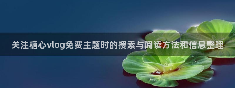 糖心vlog在线免费