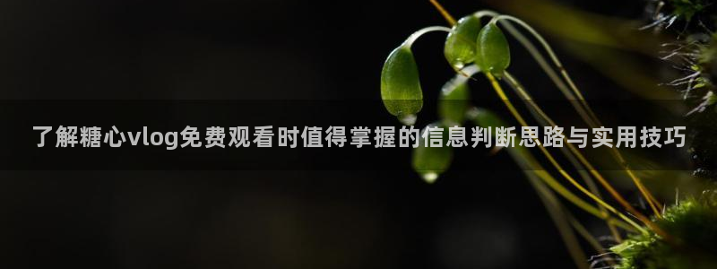 糖心的vlog