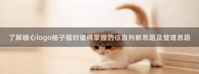 糖心vlog日常