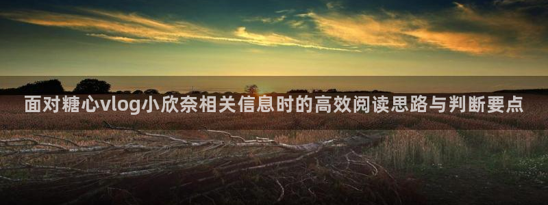 糖心在线免费看:面对糖心vlog小欣奈相关信息时的高效阅读思路与判断要点