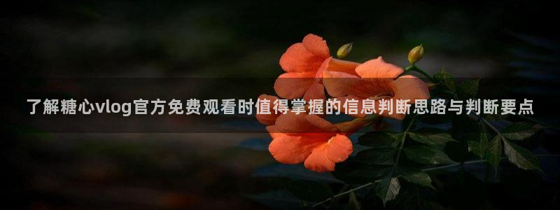 糖心vloge