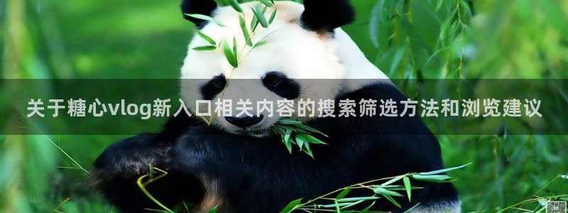 糖心vlog在线免费