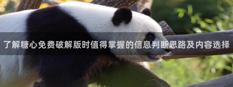 糖心vlog官方官网：了解糖心免费破解版时值得掌握的信息判断思路及内容选择