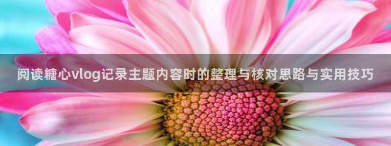 糖心网站