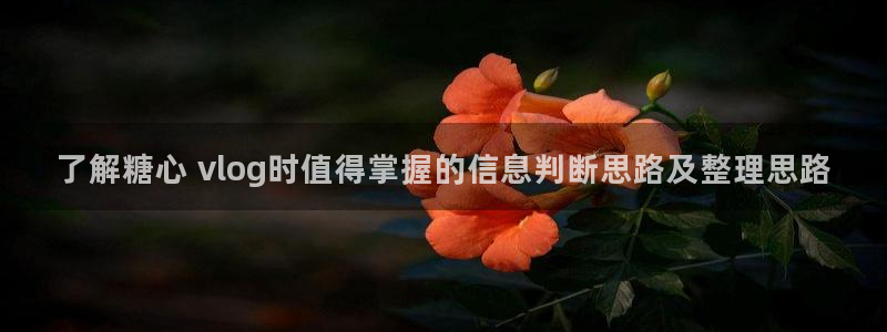 糖心vlog免费版下载：了解糖心 vlog时值得掌握的信息判断思路及整理思路