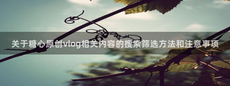 糖心app在线观看:关于糖心原创vlog相关内容的搜索筛选方法和注意事项