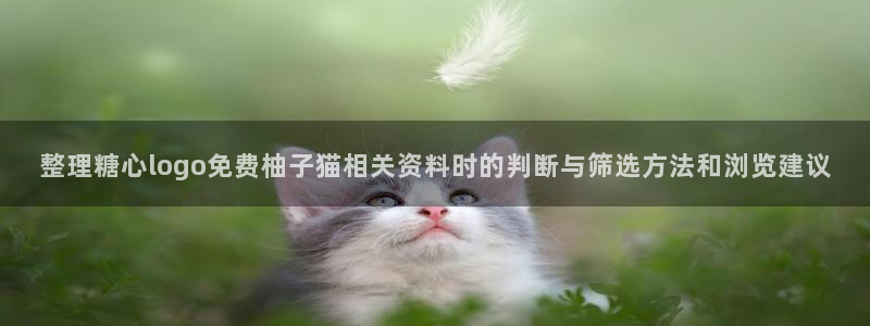 糖心vlog日常