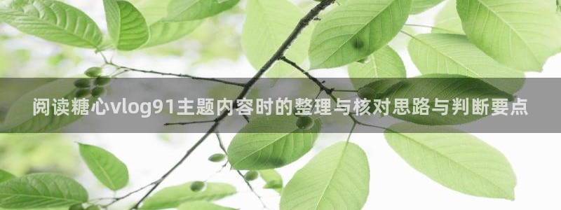 糖心vlog在线免费看:阅读糖心vlog91主题内容时的整理与核对思路与判断要点
