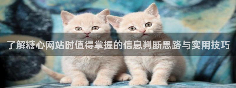 糖心看片:了解糖心网站时值得掌握的信息判断思路与实用技巧