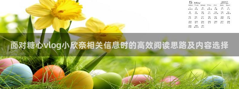 糖心vlog极品女神在线：面对糖心vlog小欣奈相关信息时的高效阅读思路及内容选择
