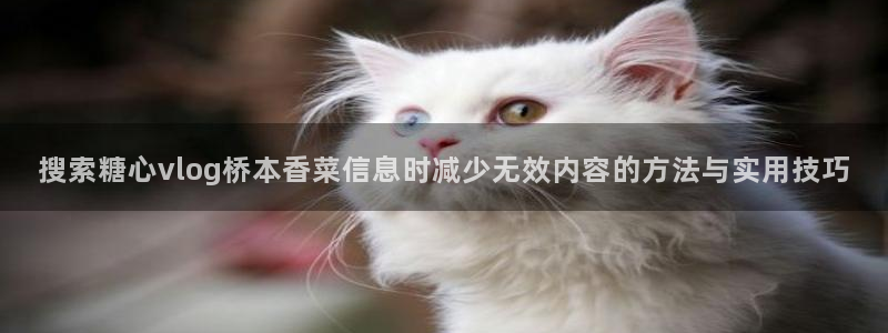 糖心在线锅锅：搜索糖心vlog桥本香菜信息时减少无效内容的方法与实用技巧