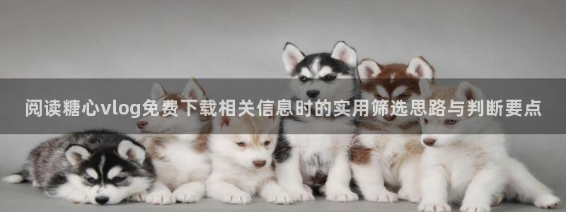 糖心 vlog：阅读糖心vlog免费下载相关信息时的实用筛选思路与判断要点